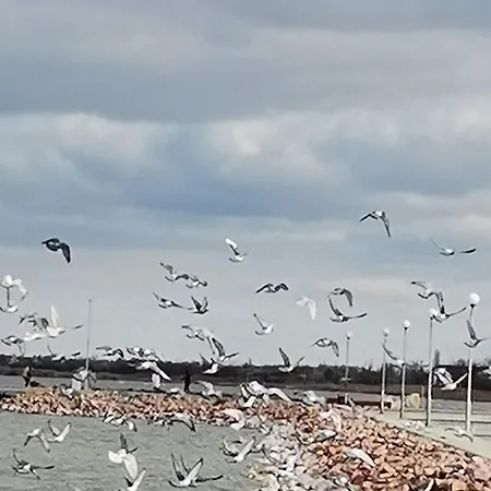 Amur Vendeghaz Дом отдыха *