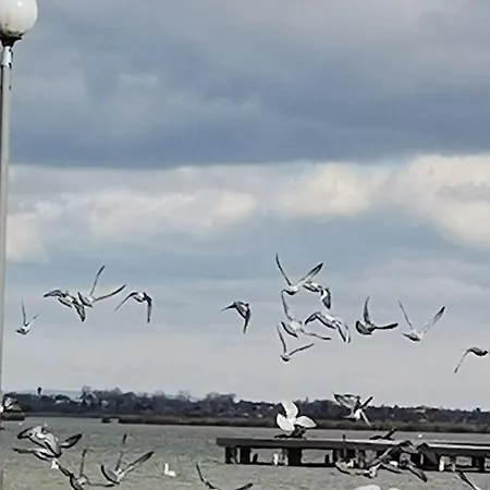 Дом отдыха Amur Vendeghaz Гардонь