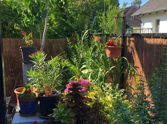 Amur Vendeghaz Prázdninový dům *