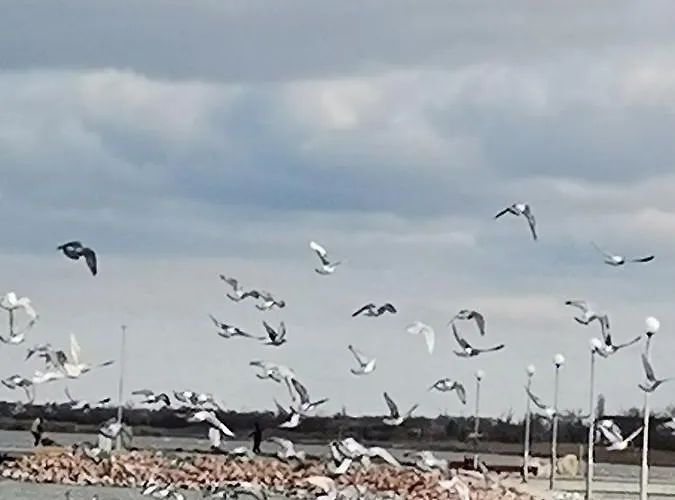 Amur Vendeghaz Prázdninový dům *