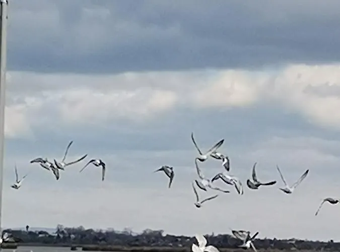 Prázdninový dům Amur Vendeghaz Gárdony