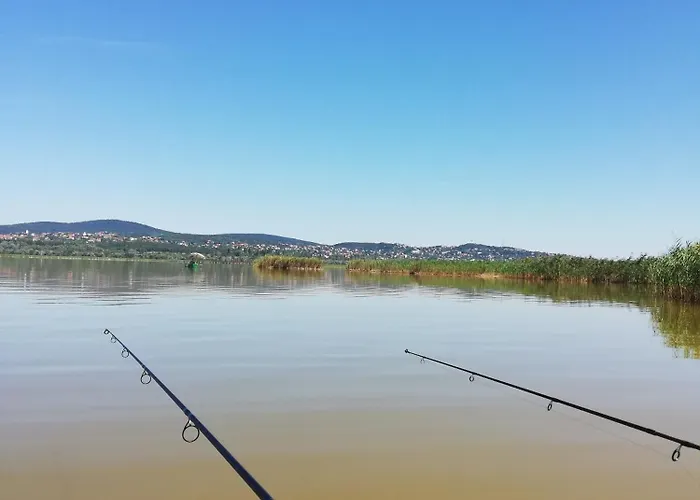 Amur Vendeghaz Prázdninový dům *